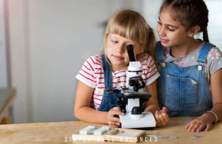 The 5 Best Microscopes for Kids (2023 Teacher Picks)